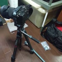 ようやくアリエクから届いたもの、その2・・・・。('◇')ゞ