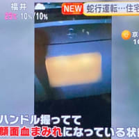 京都でヴォケがスポーツカーで住宅？の門？に突っ込む