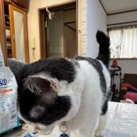 2025/6/26の朝