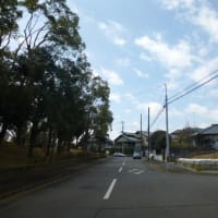 水戸市双葉台格安売り地