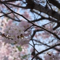 2025年5月のおしらせ
