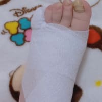 おはようございます😃