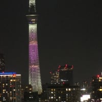 日向坂46の虹開催記念特別ライティング12