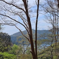 箱根　神山・駒ヶ岳