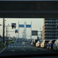 夕方の多摩川へ