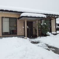 うちの周り雪〜(´×ω×`)