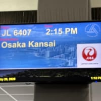 家族でハワイ旅行に行ってきました（その6・帰国・お土産・その他）