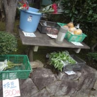 水輪からブルーベリー到着1kg