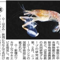 通風筒
