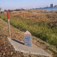 たまリバー50キロ