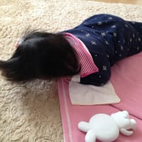 御無沙汰っ！！！！！