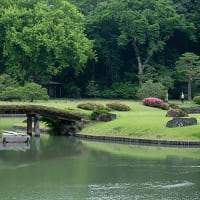 さつきの彩り。