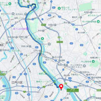 2週続けての30km走