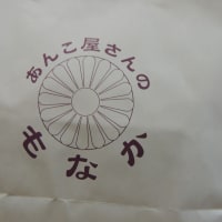 京都の中村製餡所のもなかいただく
