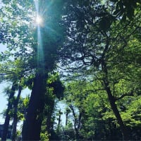 サイクリング日和です