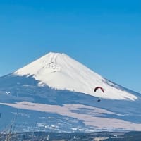 富士山とパラグライダーの共演