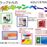 ドラッグわちのお勧め商品の　夏のお得キャンペーン　始まりました