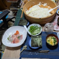 釣り堀。続き