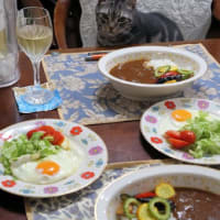 軽井沢夏野菜カレー＆目玉焼き