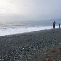 2025/06/24　火　国府津海岸