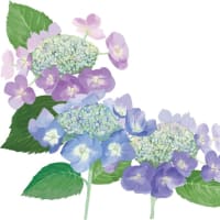 7月の分かち合い