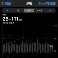 🚶2024年7月👣まとめ　