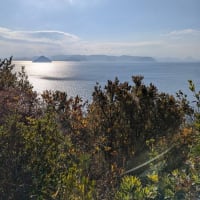 【L養成】王子が岳　こるみまpt