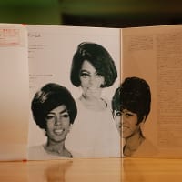 Diana Ross & The Supremes Best Collection