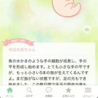 6w5d
