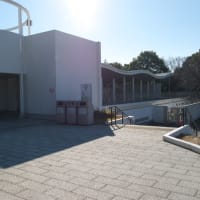 １月のお台場：台場駅前交差点から東京都立潮風公園・北側エリアへ　ＰＡＲＴ２
