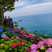 桃源郷岬がNHKの｢趣味の園芸｣で放送されました