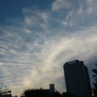 今日もまだまだ夏で暑い～ ヾ(;´▽｀A``　夏の思い出？のかなとこ雲…