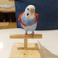 エアコンとヒータ―の関係