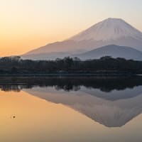 春霞の中の富士山