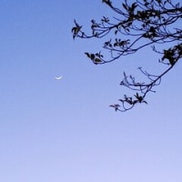 順次LEDに交換していきましょう～！