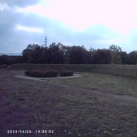 【群馬】みさと芝桜公園　日高遺跡