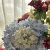 ７月１日（月）