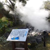 九州に行って見た。