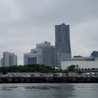 横浜「シーバス」からの眺望