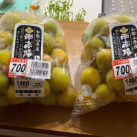 6月20日　梅干しの季節