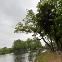 今日いち-2025年4月28日