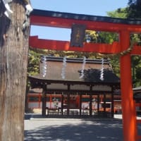 新緑のこの時期