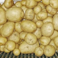 大汗に水を片手に・・・・！！