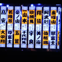 5/15 昨日の幕内結果