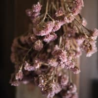 飾り花 RF35mmF1.8