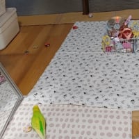 おかさんは、ちょっと切ない・・