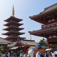 東京浅草・浅草寺ほおずき市