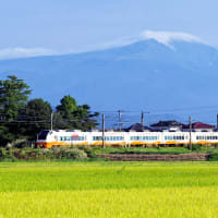 庄内平野を行く（４）