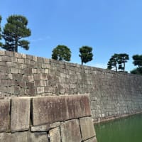どうしても行きたかったキーファー展