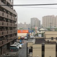 今日も雨
